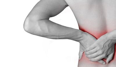 The cause of back pain in the lower back
